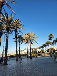 Low angle view of palm tree against clear blue sky