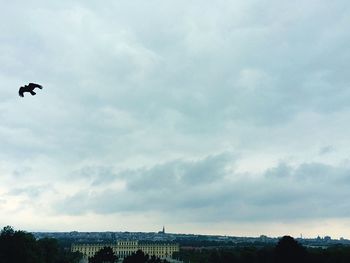 Low angle view of bird flying against cloudy sky