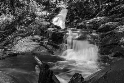 Scenic view of waterfall in forest