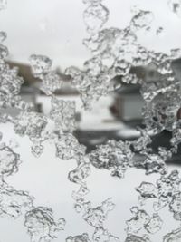 Close-up of water drops on leaf