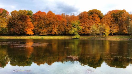 Scenic view of lake by trees during autumn