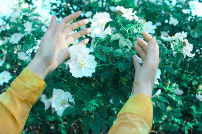 Close-up of hand holding flower