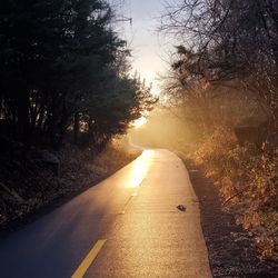 Empty road along trees at sunset