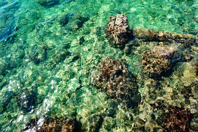 Rocks in water