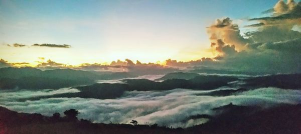 Panoramic view of trees against sky during sunset