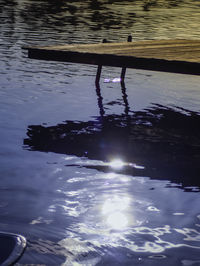 Reflection of silhouette bird in water