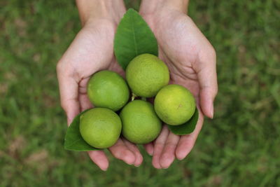 Close-up of hand holding fruit