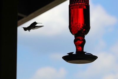 Low angle view of bird flying in sky