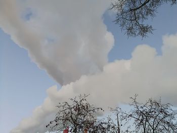 Low angle view of bare tree against sky