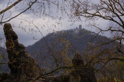 Bare trees on mountain against sky