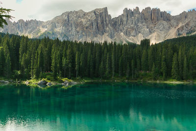 Fantastic carezza lake with turquoise water in trentino alto-adige, italy