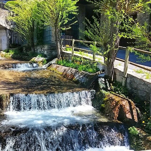 water, flowing water, tree, built structure, motion, architecture, waterfall, flowing, plant, rock - object, stream, building exterior, nature, waterfront, growth, long exposure, house, day, green color, river