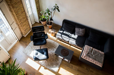 From above interior of living room with green potted plants and comfortable sofa in flat in loft style