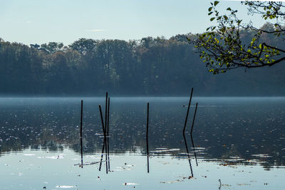 Scenic view of lake by trees during winter