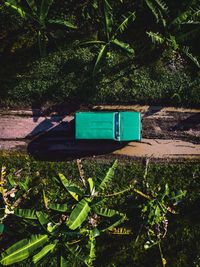 High angle view of plants by swimming pool