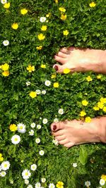 Hand holding flowers