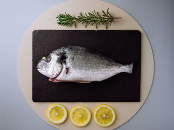 High angle view of fish on table