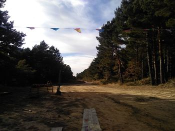 Empty road along trees