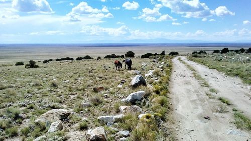 Panoramic view of people on landscape against sky