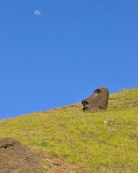 Scenic view of landscape against clear blue sky