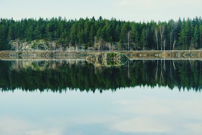 Reflection of trees in lake against sky