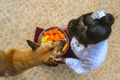 Directly above shot of woman holding fruits in container by dog on footpath