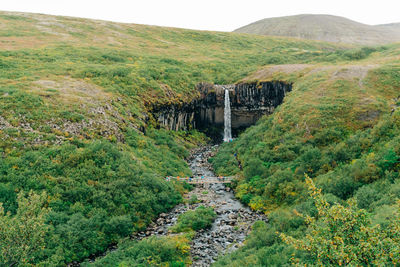 Scenic view of waterfall on mountain
