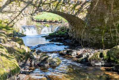 Stream flowing through rocks in forest