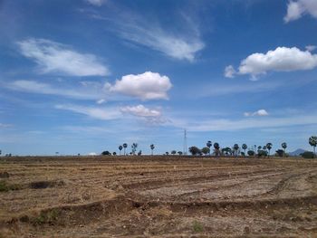 Scenic view of rural landscape against blue sky