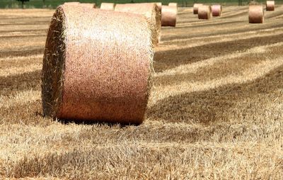 straw