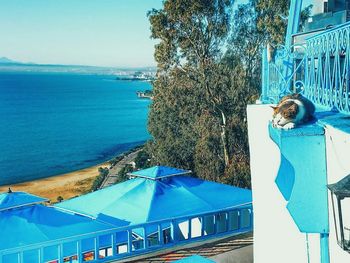 Reflection of trees in water