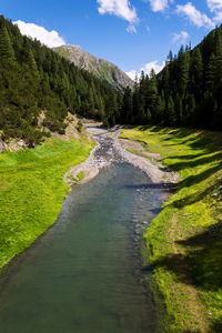 Scenic view of river amidst trees against sky