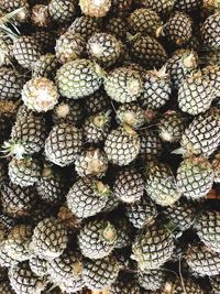 Full frame shot of fruits in market