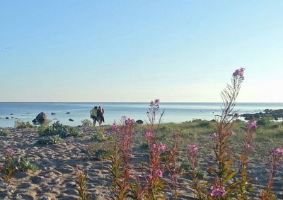 Scenic view of sea against clear sky