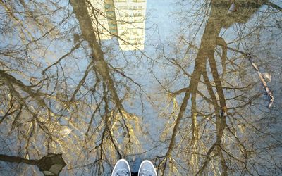 Reflection of trees in water