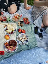 High angle view of woman eating food picnic summer 