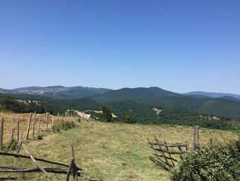 Scenic view of field against clear blue sky