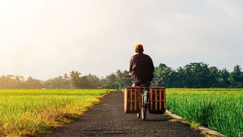 Rear view of man riding motorcycle on field against sky