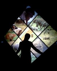 Silhouette of man standing on floor