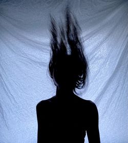 Rear view of silhouette woman standing in hair