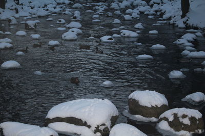 View of frozen lake