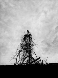 Low angle view of silhouette bare tree against sky