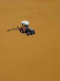 High angle view of turtle on sand at beach