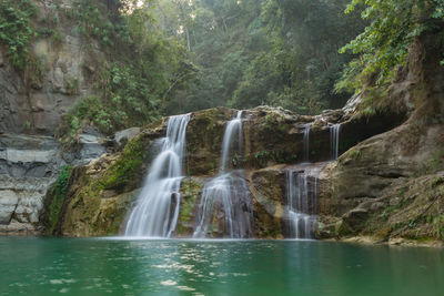 Scenic view of waterfall in forest