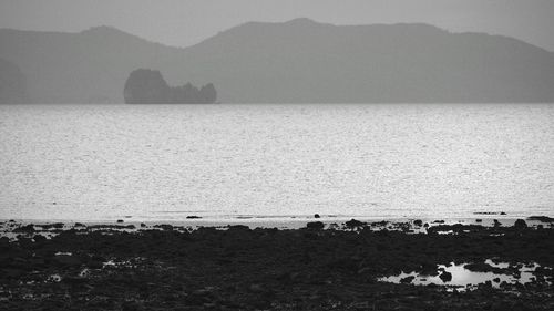 Scenic view of sea