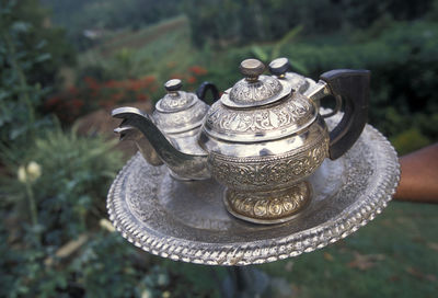 Cropped hand on tray with teapots