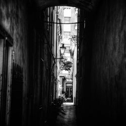 Empty alley amidst buildings in city