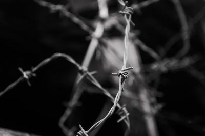 Close-up of barbed wire on fence