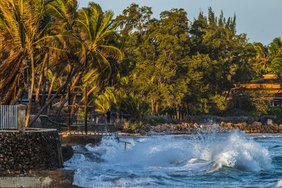Scenic view of sea against trees