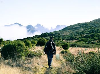 Rear view of backpacker walking on mountain